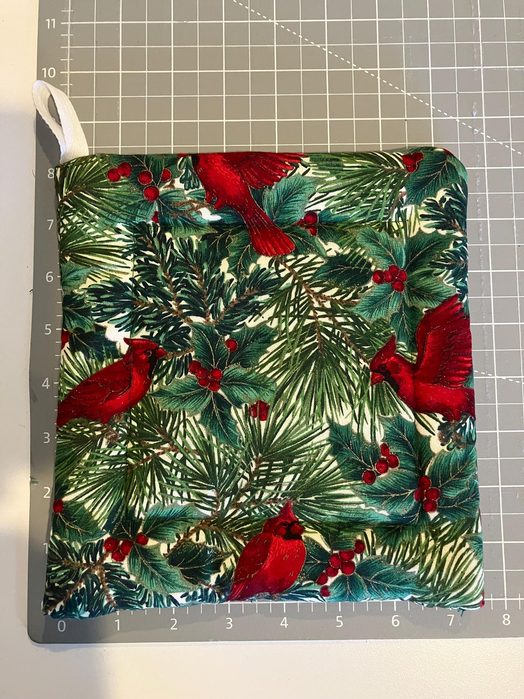 Cardinal Apron with Matching Hot Pad Set// Kitchen//Holiday