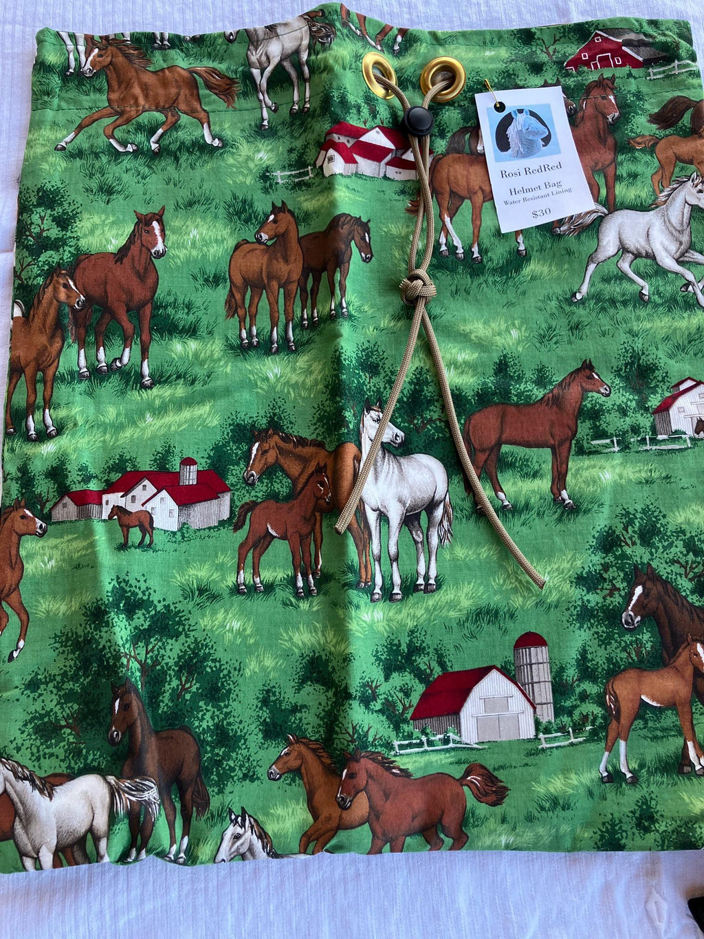 Equestrian Helmet Bags//Chestnut Horse//Barn//Drawstring Bag//waterproof lining//Green//Red